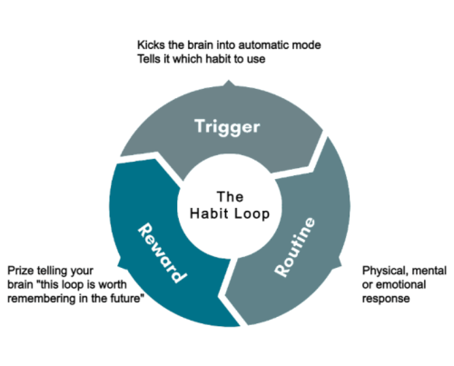 Habit Loop